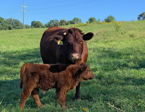 Proud Mother...and son