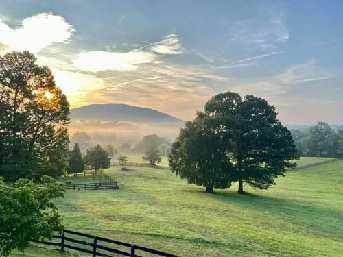 Thistle Hill Farm - Slainte Farm